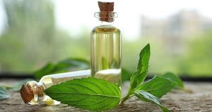 اسانس 4 اسانس روغنی نعناع خرید عمده